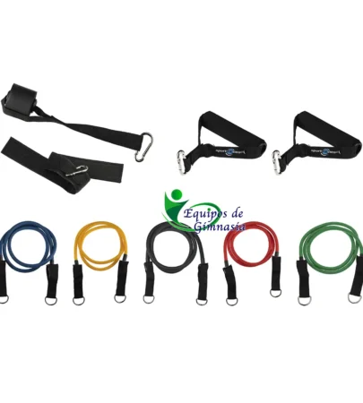 Equipos de Gimnasia | Tienda online