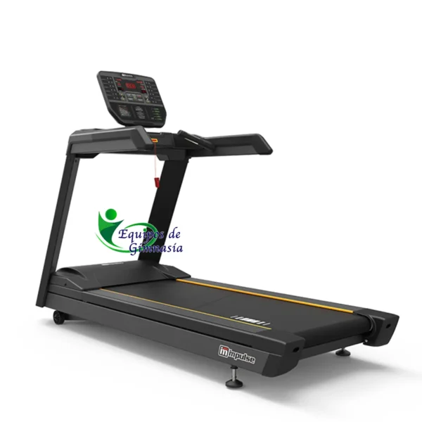 Equipos de Gimnasia | Tienda online