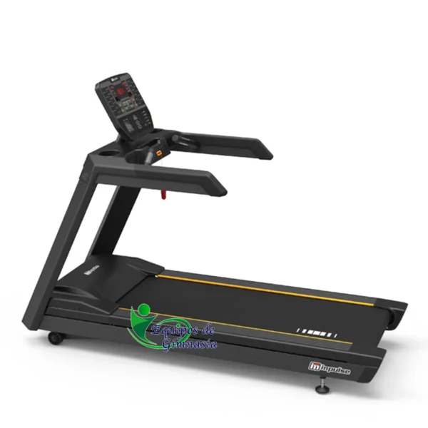 Equipos de Gimnasia | Tienda online