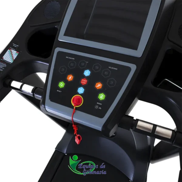 Equipos de Gimnasia | Tienda online